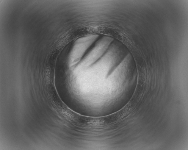 X0000056360659200509091624