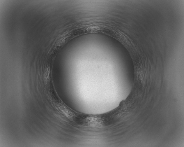 X0000056360660200509091624