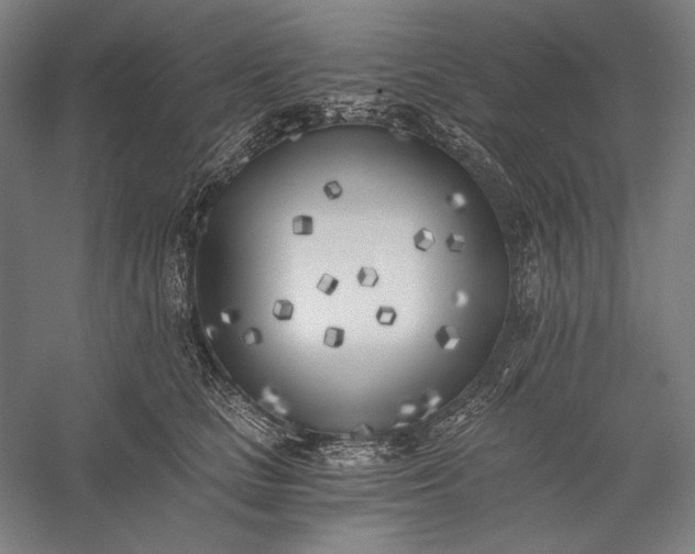 X0000056360661200509091624