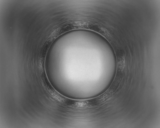 X0000056360662200509091624