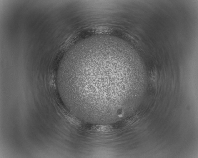 X0000056360663200509091624