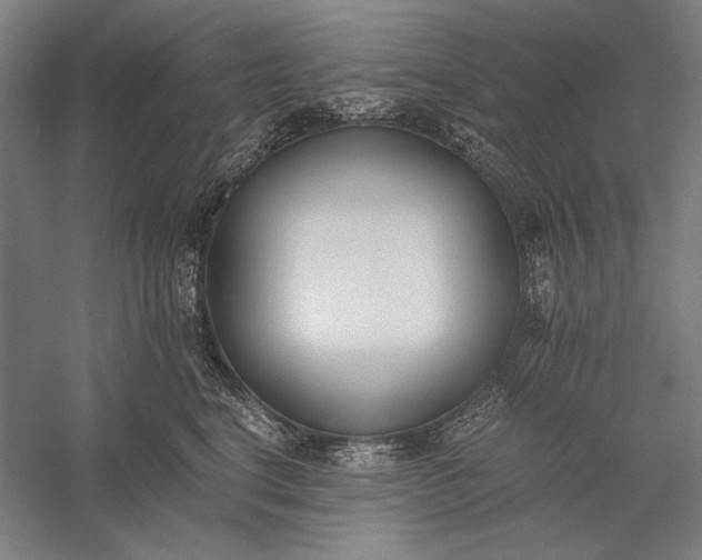 X0000056360664200509091624