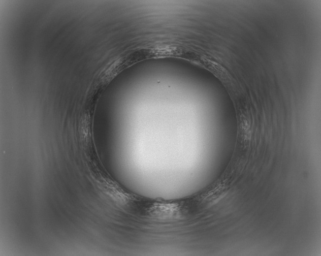 X0000056360665200509091624