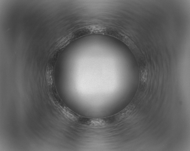 X0000056360666200509091624