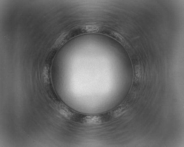 X0000056360667200509091624