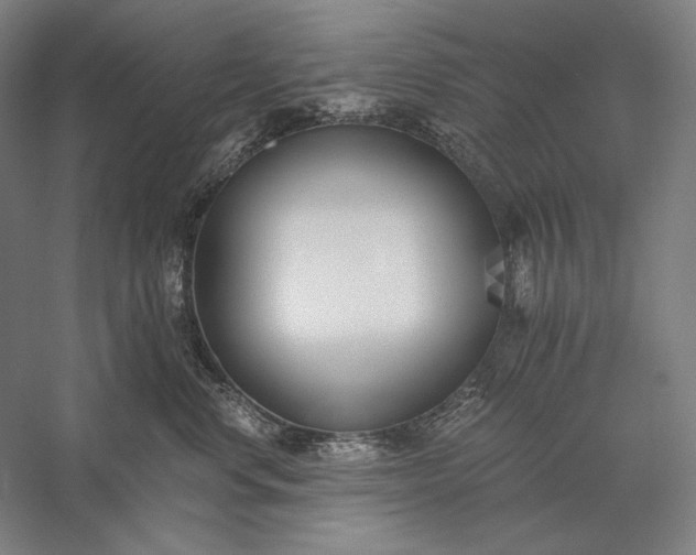 X0000056360668200509091624