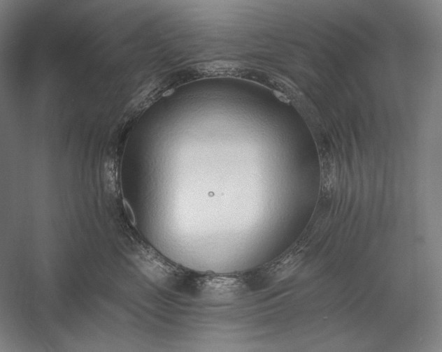 X0000056360669200509091624