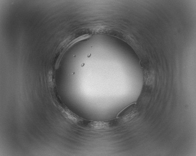 X0000056360670200509091624