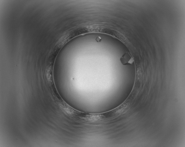 X0000056360671200509091624