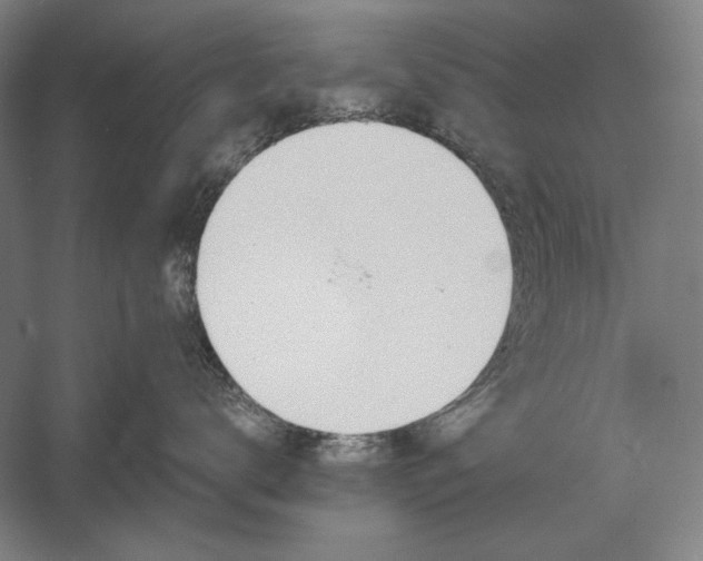 X0000056360672200509091624