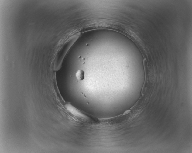 X0000056360673200509091623