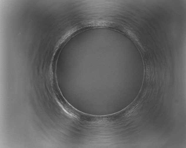 X0000056360674200509091623