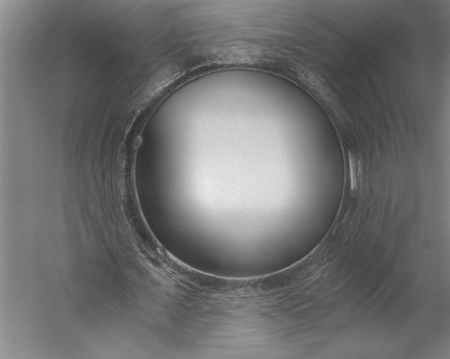 X0000056360675200509091623