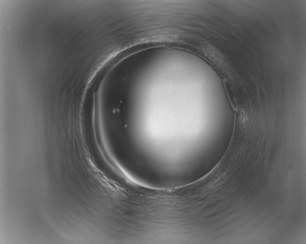 X0000056360676200509091623