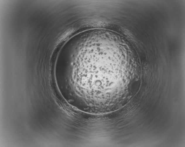 X0000056360679200509091623