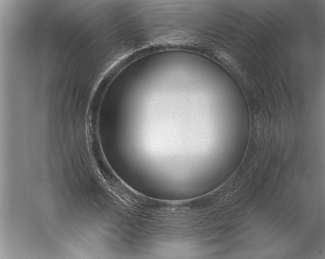 X0000056360680200509091623