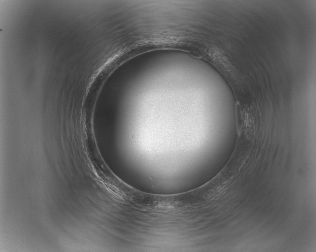 X0000056360684200509091623