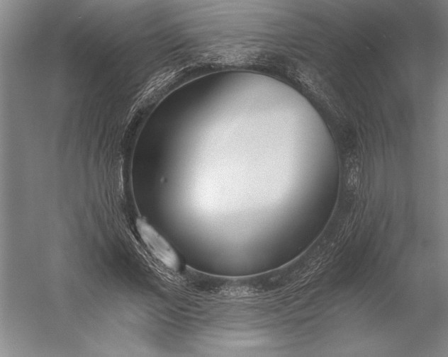 X0000056360685200509091623