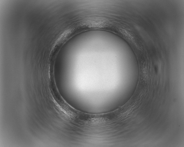 X0000056360686200509091623