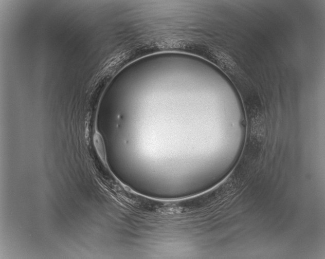 X0000056360687200509091623