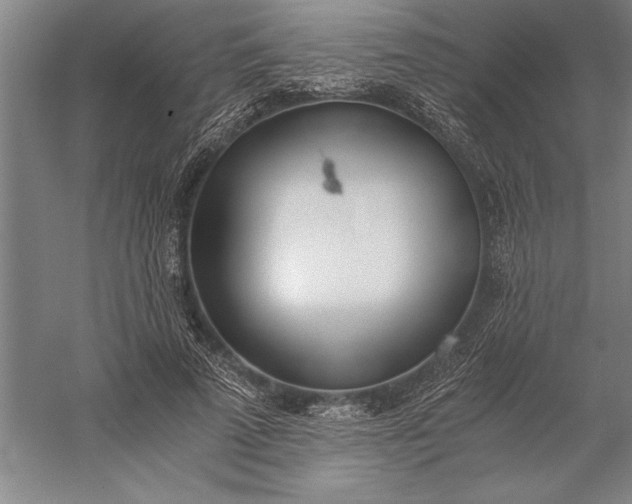 X0000056360689200509091623