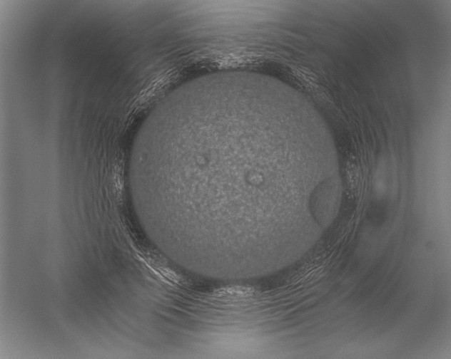 X0000056360691200509091623