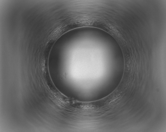 X0000056360693200509091623