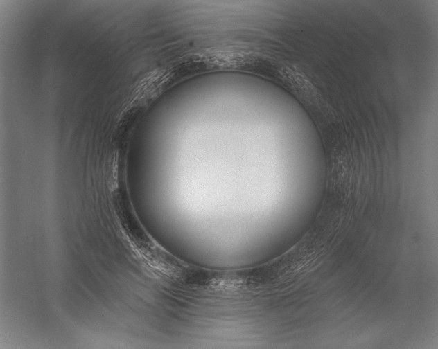 X0000056360694200509091623