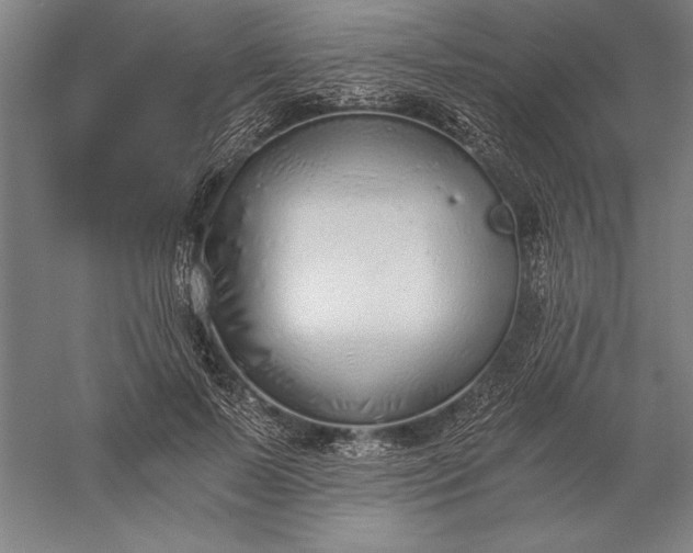 X0000056360695200509091623