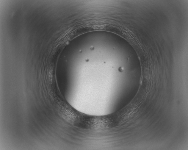 X0000056360697200509091623