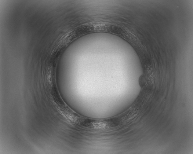 X0000056360698200509091623