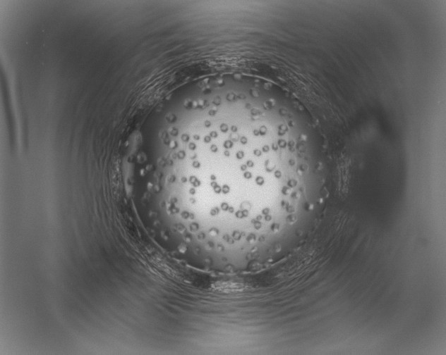 X0000056360699200509091623