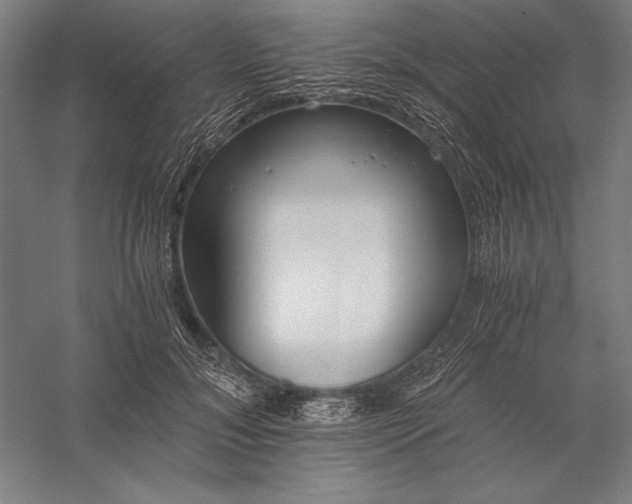 X0000056360700200509091623