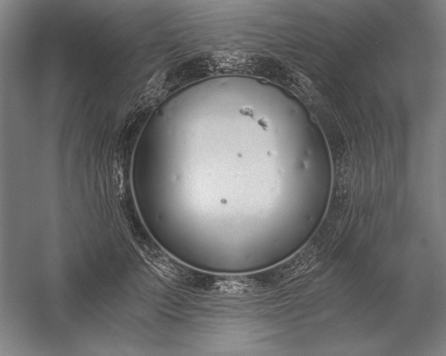 X0000056360703200509091623