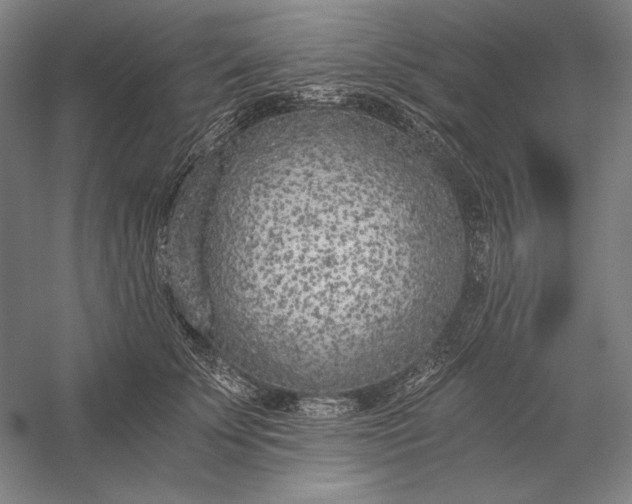 X0000056360707200509091623