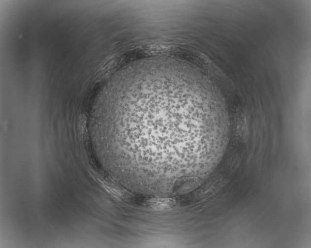 X0000056360711200509091623