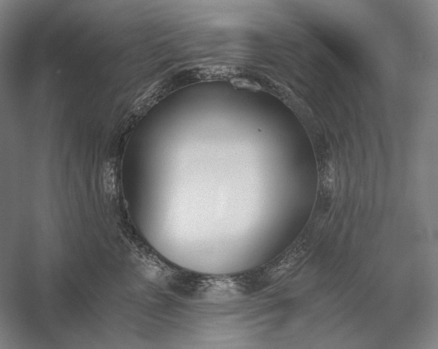 X0000056360715200509091623