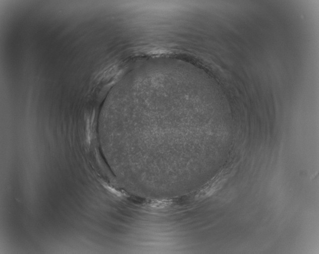 X0000056360720200509091622