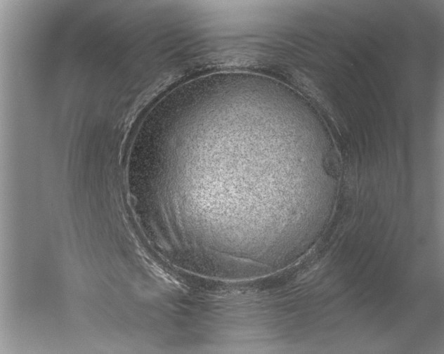 X0000056360721200509091622