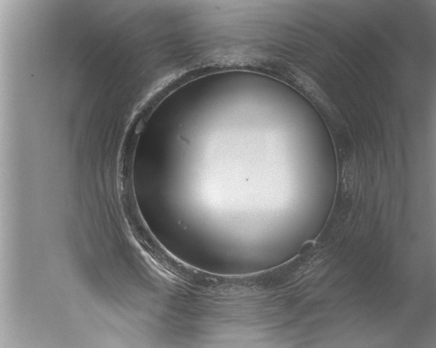 X0000056360722200509091622