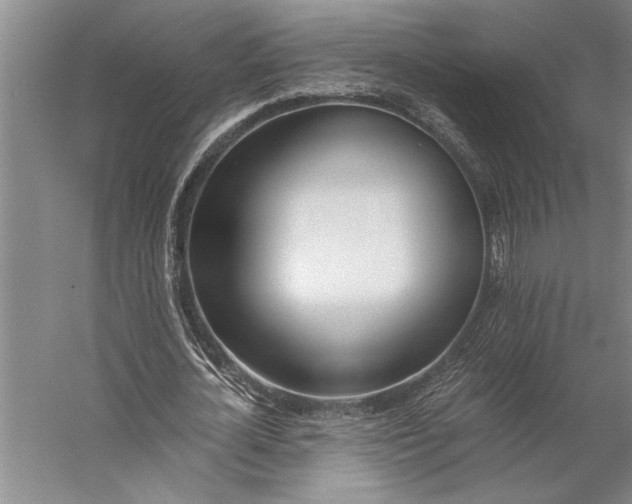 X0000056360724200509091622