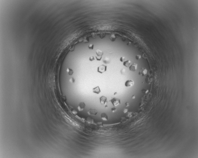 X0000056360725200509091622