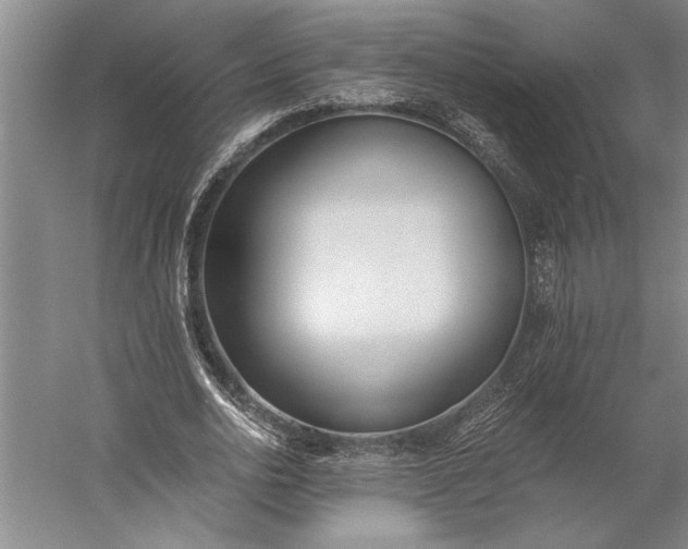 X0000056360726200509091622