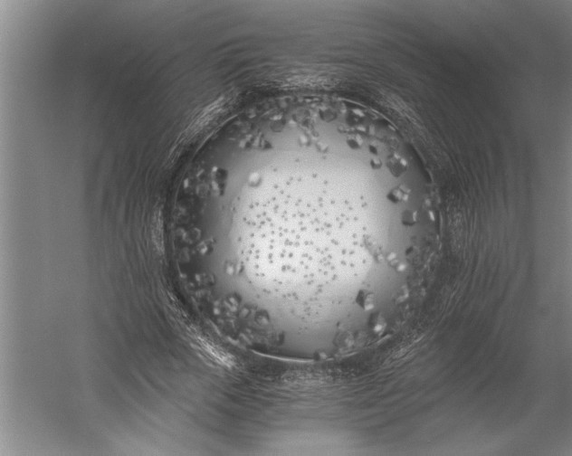 X0000056360729200509091622