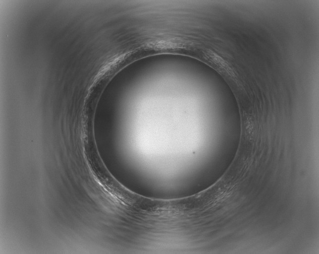 X0000056360732200509091622