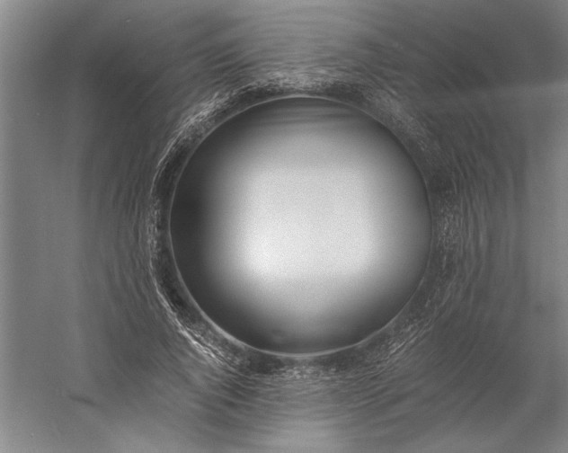 X0000056360736200509091622