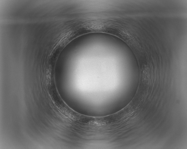 X0000056360739200509091622