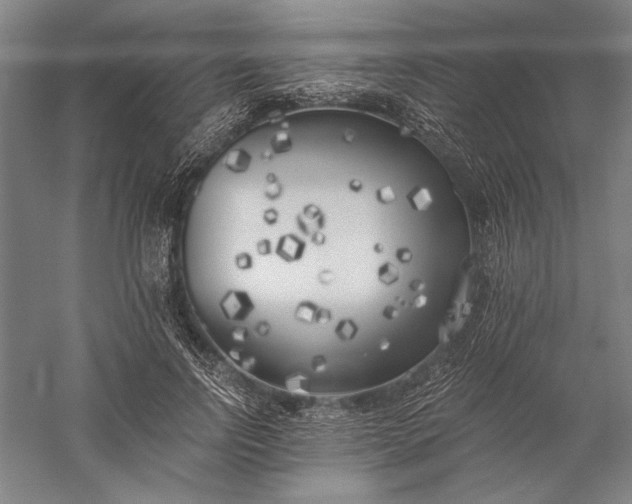 X0000056360742200509091622