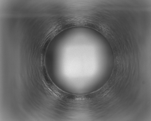 X0000056360744200509091622