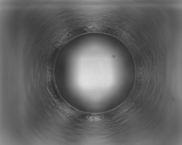 X0000056360751200509091622